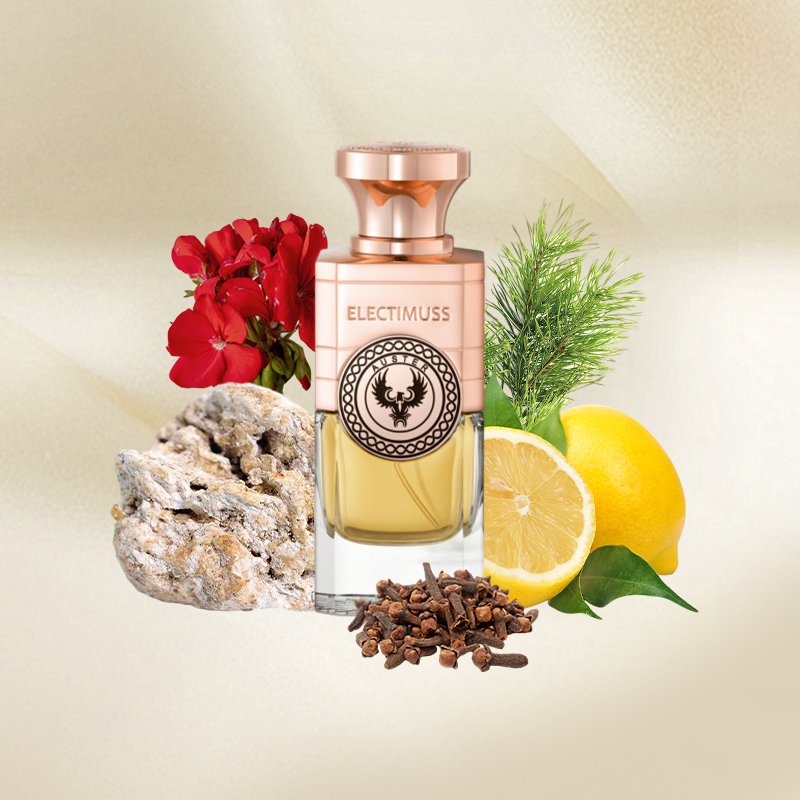 E-ELECTIMUSS-AUSTER.jpg Electimuss – Auster - Bilde 1