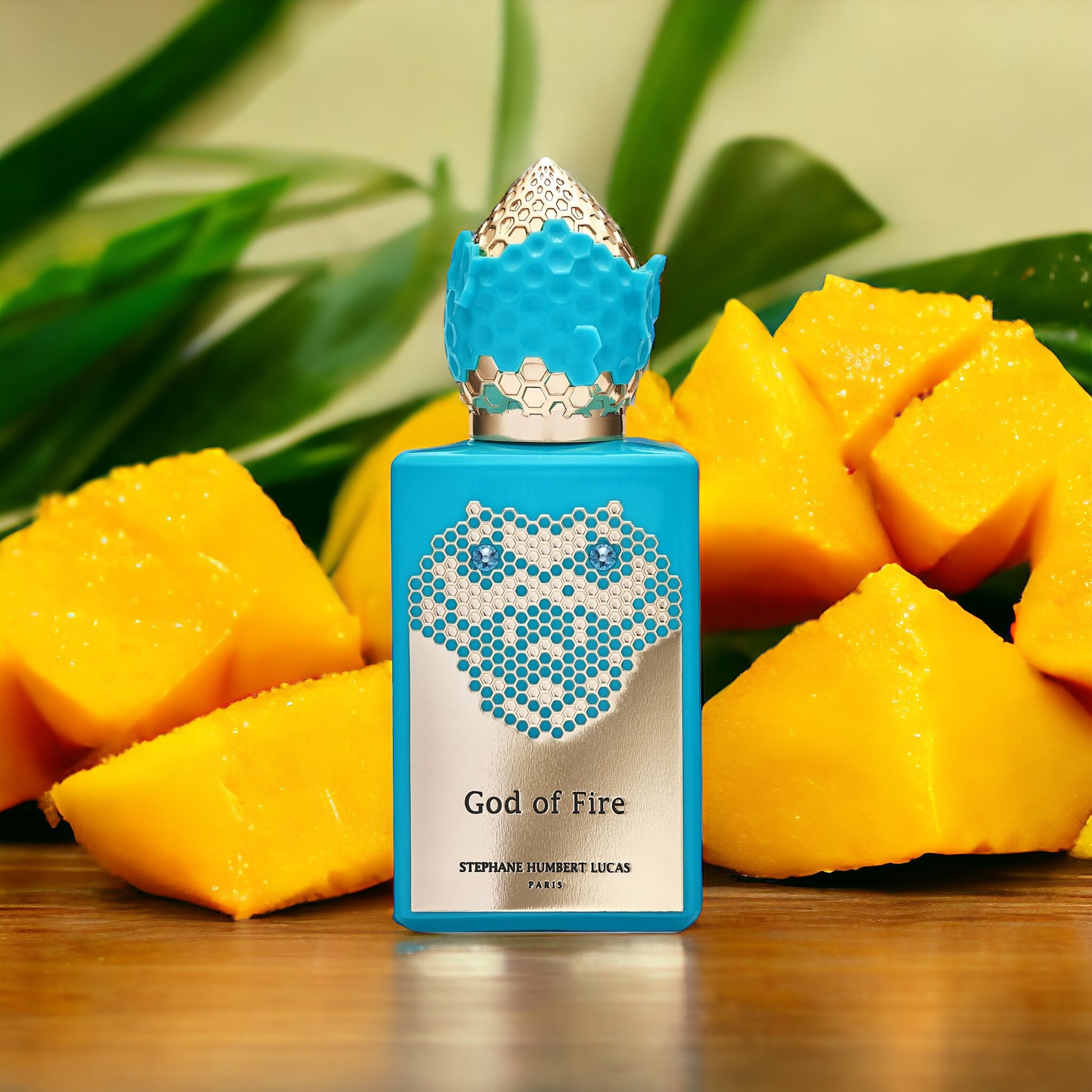 S-STEPHANE-HUMBERT-LUCAS-GOD-OF-FIRE.jpg Stéphane Humbert Lucas – God of Fire - Bilde 1