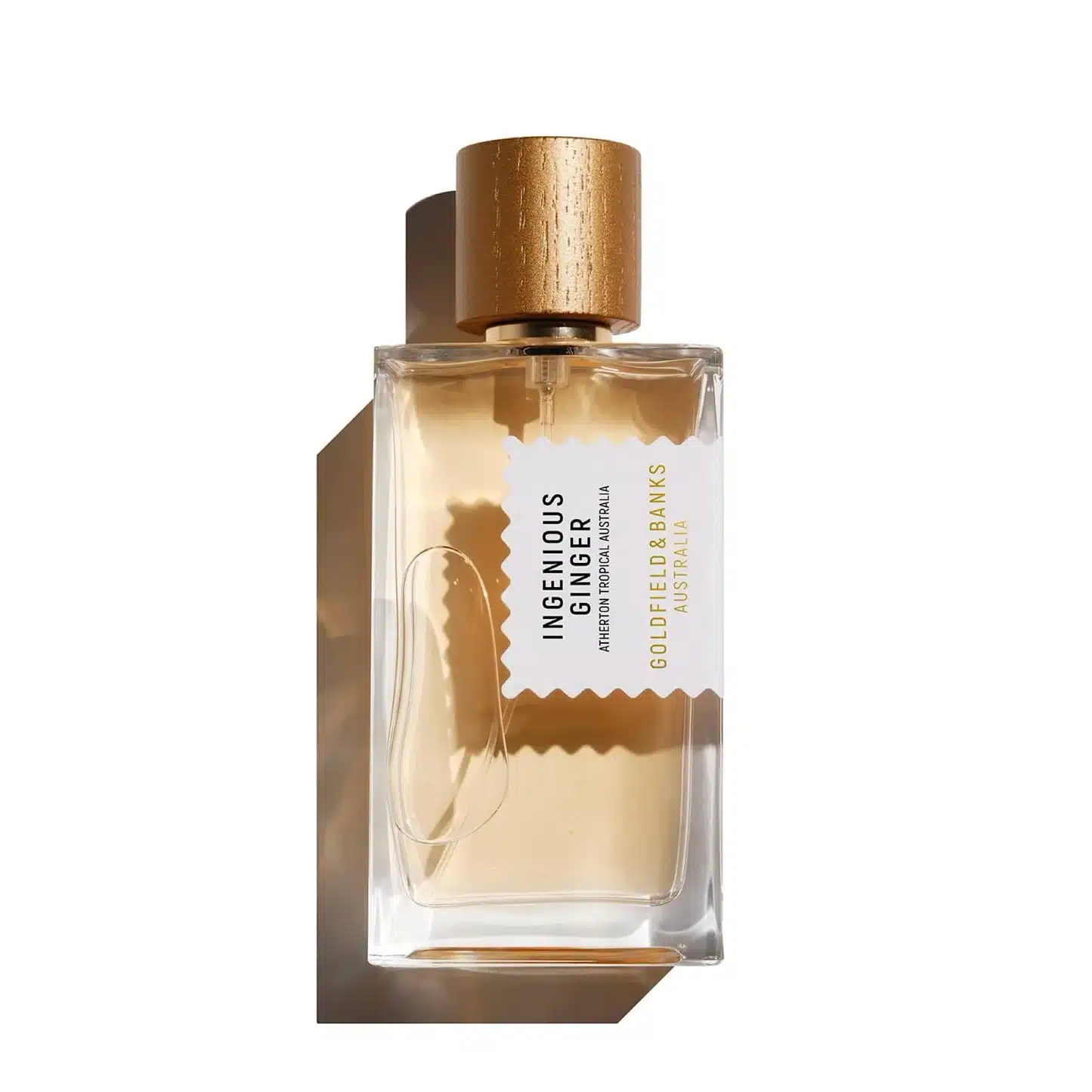 Ingenious-Ginger Goldfield & Banks - Ingenious Ginger - Bilde 1